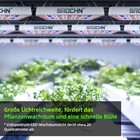 Bild 5 von 18