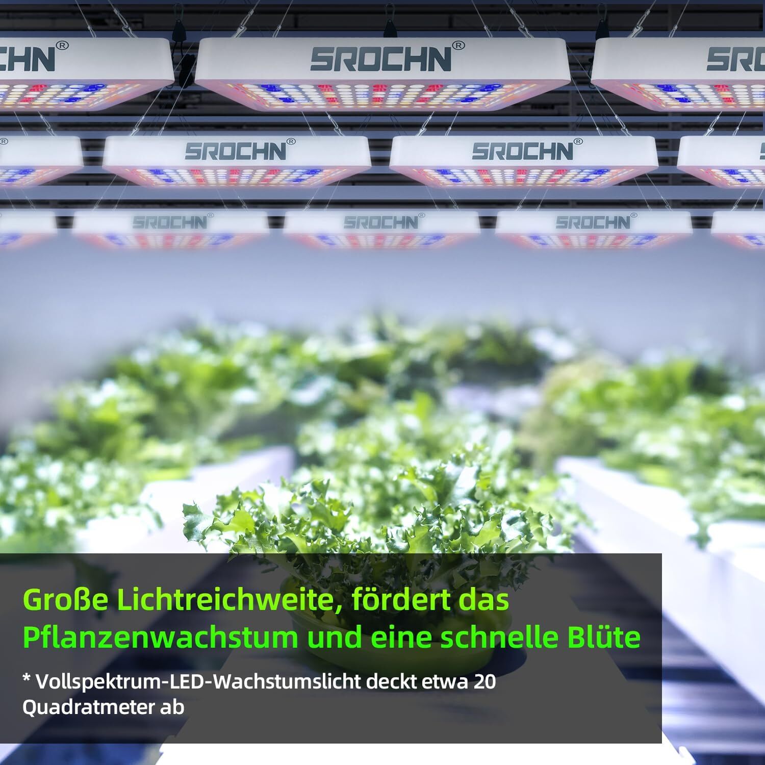 Bild 5 von 18