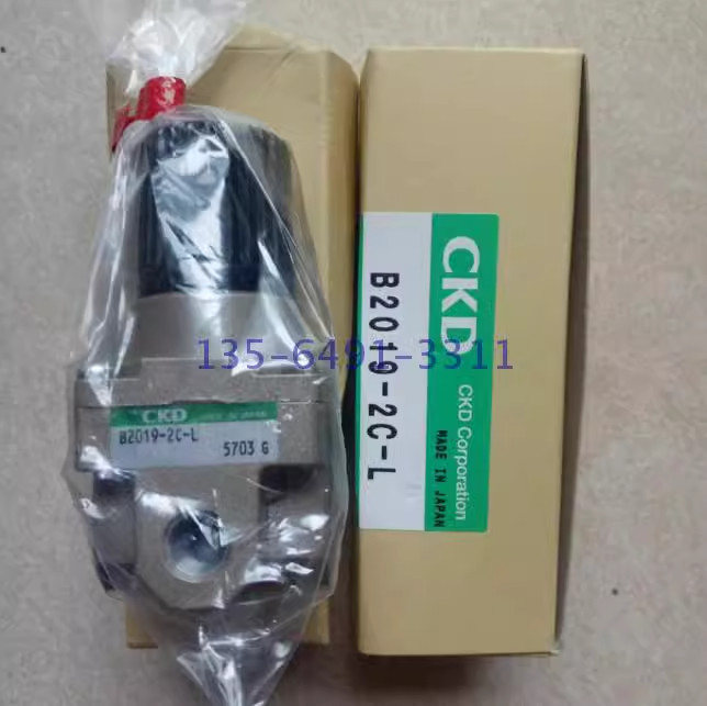 1PC NEW CKD B2019-2C-L Pressure Reducing Valve #H282CC YD