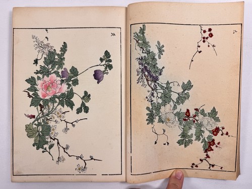 Japanese Woodblock Print Book “Kacho Gashu” Haruna kinzan 1903 Original - Picture 8 of 24