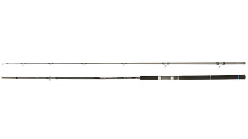 Major Craft Ceana CNSS-1002HH *Spinnrute Meerforelle Wolfsbarsch Fuji Japanrute
