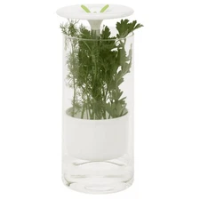 Can Honey Do Glass Herb Preserver Fridge Keeper Fresh Produce KCH06398