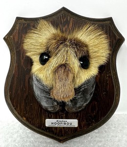 Vintage ALASKAN HOOFIBOU Taxidermy MOUNT Hoof Fur Alaska Glenwood Corp 8 Inch