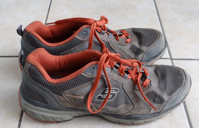 skechers geo trek pro force