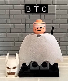 LEGO DC Super Heroes 76000 Arctic Batman Minifigure!