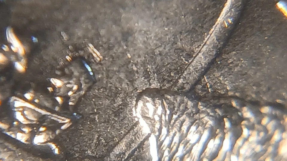 2003 P Missouri quarter *strike through Lamination Error* ? MS Uncirculated - Image 4 of 4