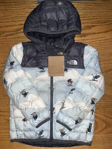north face coat puffer womens