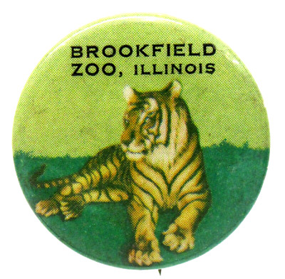 1950s BROOKFIELD ZOO ILLINOIS ''Tiger'' color 1.25'' tourist pinback button c9