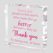 Appreciation Inspirational Gifts for Women, Pink Teacher Desk Acrylic Decorat...