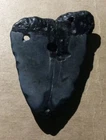 3 1/4" X 2 1/4" BLACK MEGALODON SHARK TOOTH EXTINCT FOSSIL~INV#06