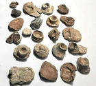22 Civil War Relic  intense high impact bullets dug in Central Virginia. $41.00