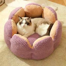 New Purple Cactus Calming Cat Kitten Bed Indoor Petal Shape Sofa, Soft, Gift