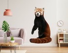 3D Red Raccoon B203 Animal Wallpaper Mural Poster Wall Stickers Decal Zoe