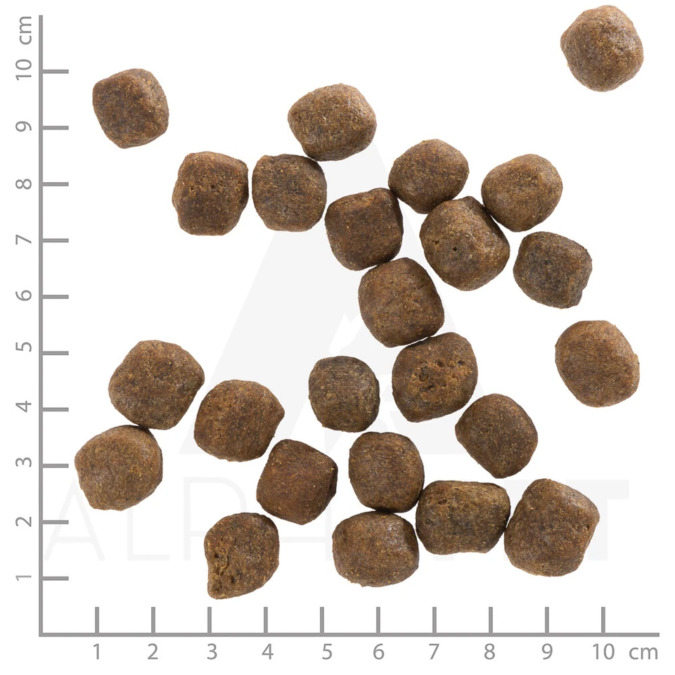 Wolfsblut - Cold River Adult - 2 kg - Hundefutter - Bild 4 von 4