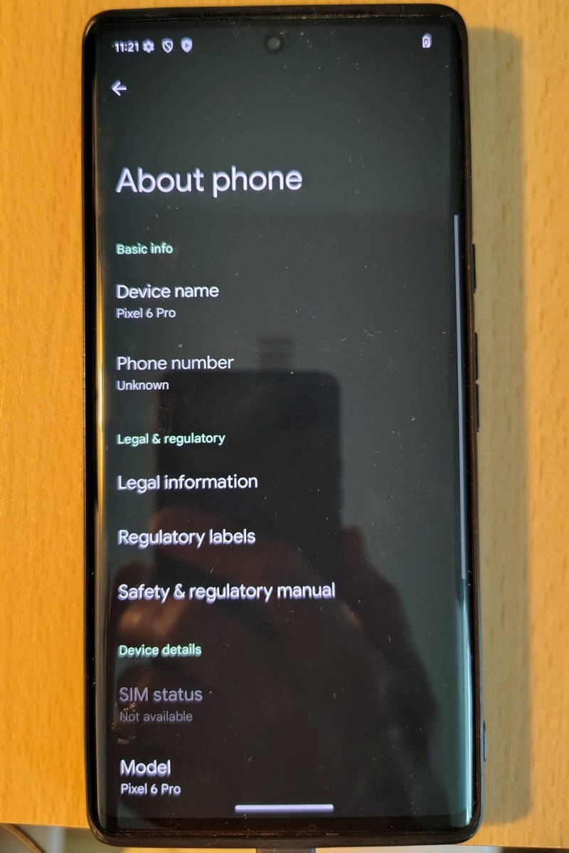 Google Pixel 6 Pro - 512 GB - Stormy Black (Unlocked) for
