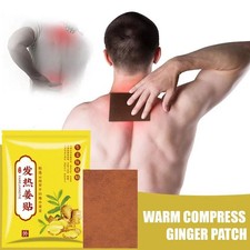 100pcs Chinese Ginger Patch Rheumatism Back Joint PainRelief Plas NEW B1W6