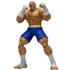 Chest Supplement STORM ARENA Collectibles Toys 1/12 SAGAT STREET FIGHTER ZERO 3