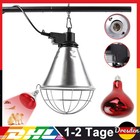 Bild 3 von 11