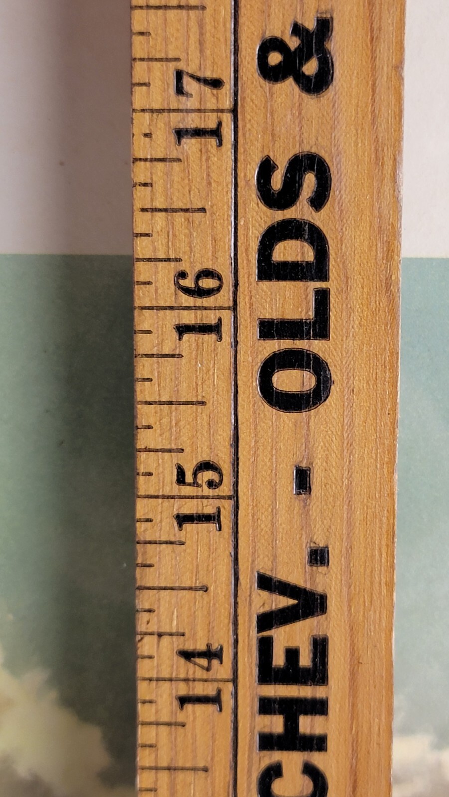 Picture 11 of 12