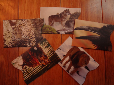 Lot RFID Credit Card Sleeve/Case/Holder Identity Protector Full Color Animals