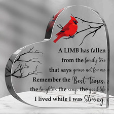 Cardinal Sympathy Gift Bereavement Gift Ideas Red Memorial Decor Acrylic Heart C
