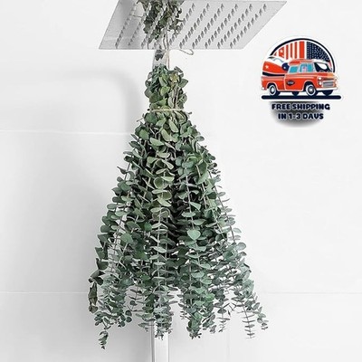 12 Tallos de Eucalipto 43cm para Ducha Colgante Hojas Naturales Secas Decoración