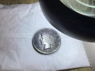 1923 Liberty Peace Silver Dollar *Toning Error*