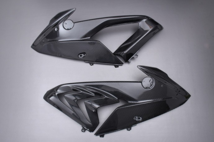 Carenage carbone pour BMW S 1000 RR 2017-2018 paire de panneaux lateraux