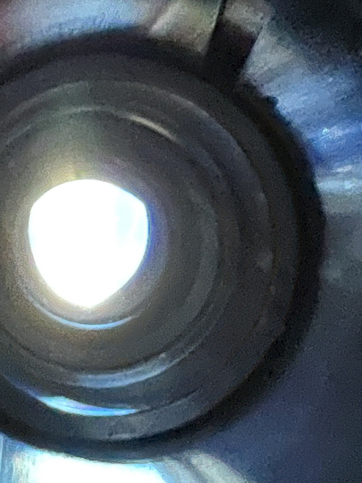 Picture 12 of 12