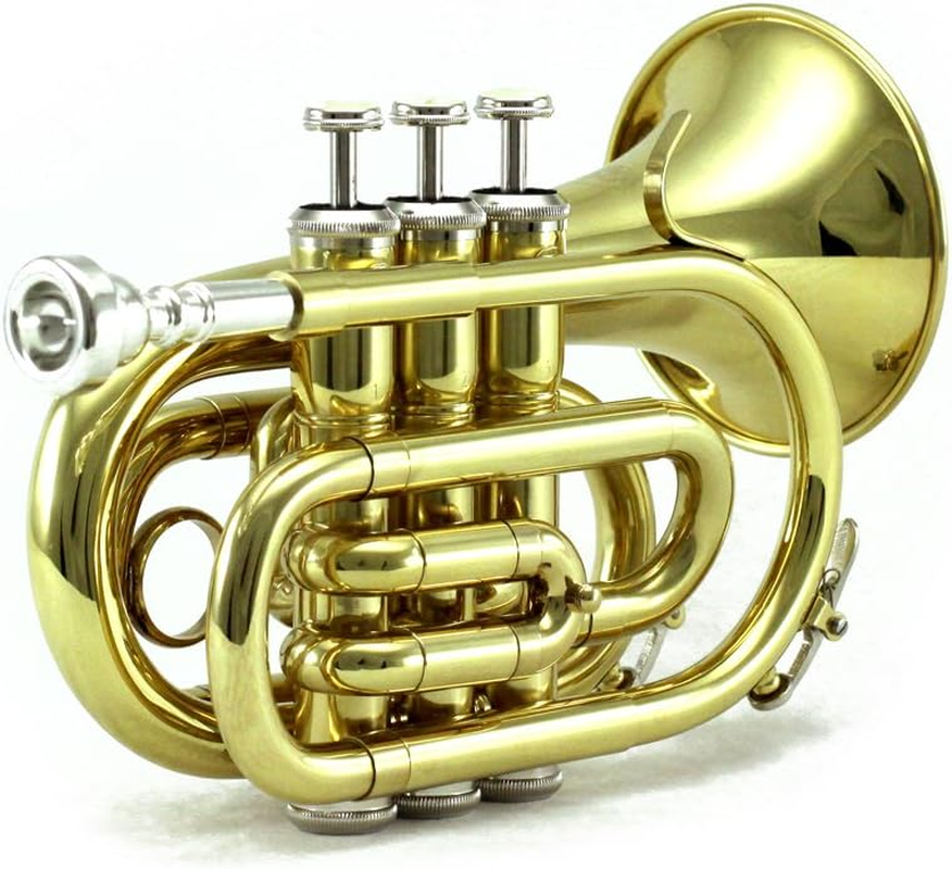 Gold Bb Pocket Trumpet Set with Case, Cloth, Gloves & Valve Oil