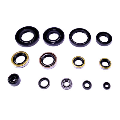 Motor Simmering Satz für Kawasaki KX 250 KX250 1994-2004