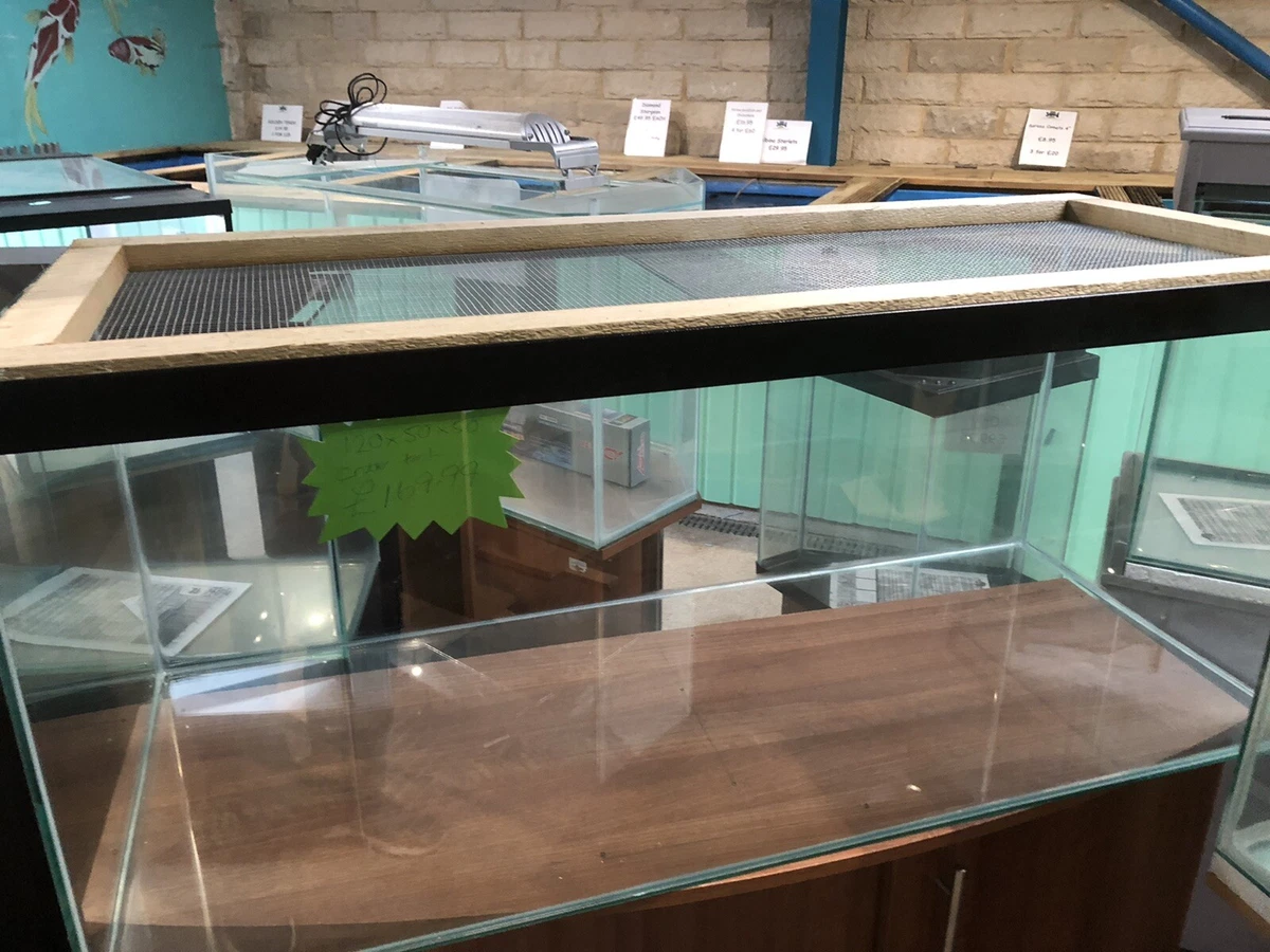 Hamster in aquarium best sale cage