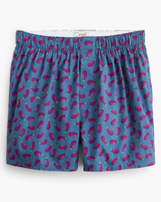 J. Crew Men’s Cotton Poplin Woven Boxer Briefs Estate Blue Eggplant Print