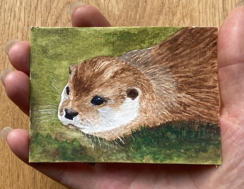 Original Watercolour Otter Painting ACEO - Picture 3 of 4