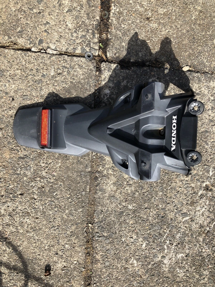 Tail tidy sale beat