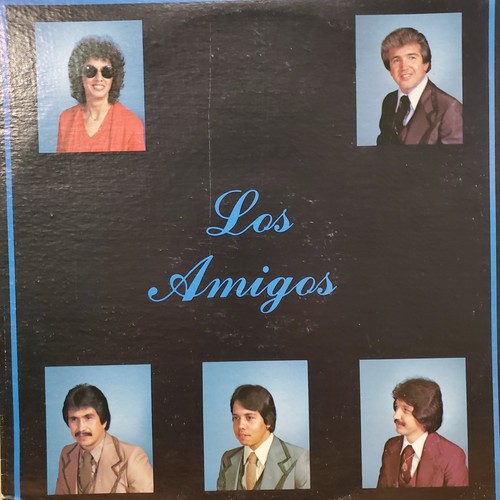 “Tejano Tex-Mex/Latin" Los Amigos "Me Bendijo" Rare LP