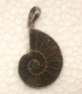 Petrified Ammonite Nautilus Spiral Fossil Shell Sterling Silver Pendant 925 F6 Ebay