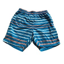 Columbia Lined Swim Trunks Shorts Striped Blue Mens Size Large 8L
