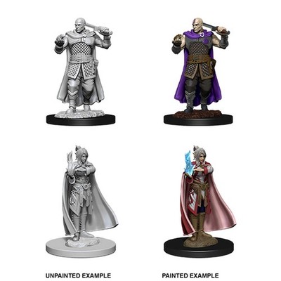 D&D Nolzur's Marvelous Unpainted Miniatures: Minsc & Delina