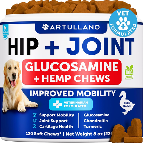 Beautiful view of Glucosamine For Dog Joints