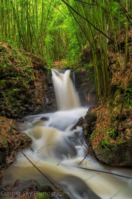 Waterfall Landscape Print Maui Bamboo Forest Canvas Metal Photo Art