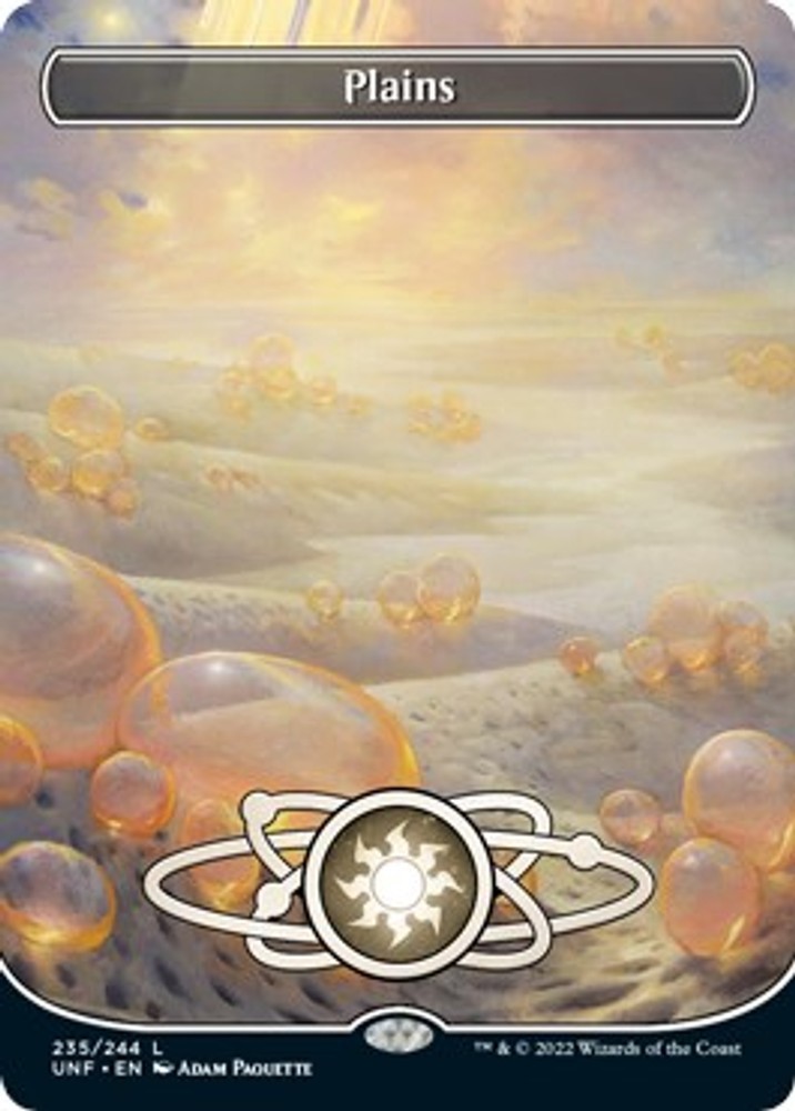 Plains (Borderless) #235 *Foil* (LP) Unfinity (UNF) MTG