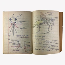 C19th Antique French High School Biology Lecture Notes | Handwritten Notebook
