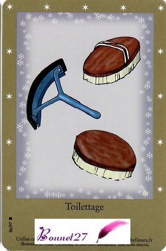 CARTE CARD Cheval Horse " BELLA SARA " EDITION DE BASE N° AUX CHOIX - Imagen 72 de 88