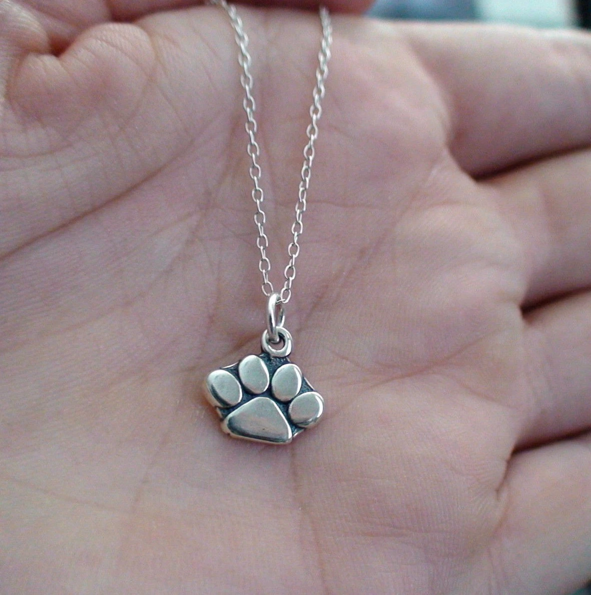 Sterling Silver Paw Print on My Heart Cremation Pendant — Eureka Pet  Cremation