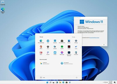 500GB Festplatte HDD 2,5 Zoll mit Windows 11 Pro 25H2 für Notebook Laptop und PC