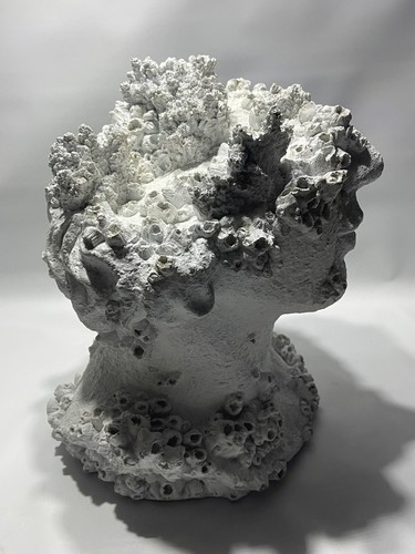 Art Deco Barnacle Half Face Human Sculpture Unique Rare Find 12"x11"x12" - Picture 9 of 11