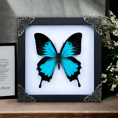 Real Blue Emperor Butterfly Frame Gothic Wall Art Home Decor Unique Gift for Mom
