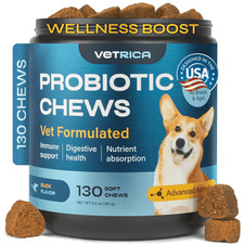 Probiotics for Dogs Dog Probiotic Chews for Digestive and Gut Health Dental