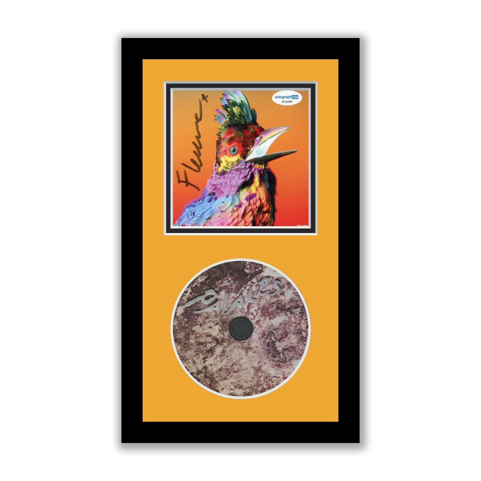 Palaces Signed Framed CD Display